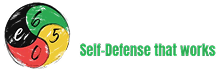 Elevation650 logo